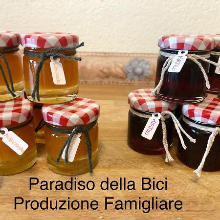 Paradiso Della Bici Morbegno Exteriör bild