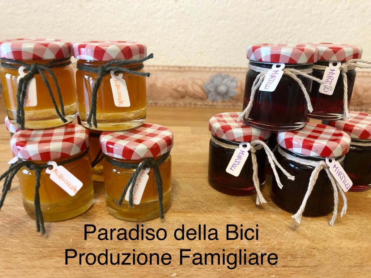 Paradiso Della Bici Morbegno Exteriör bild